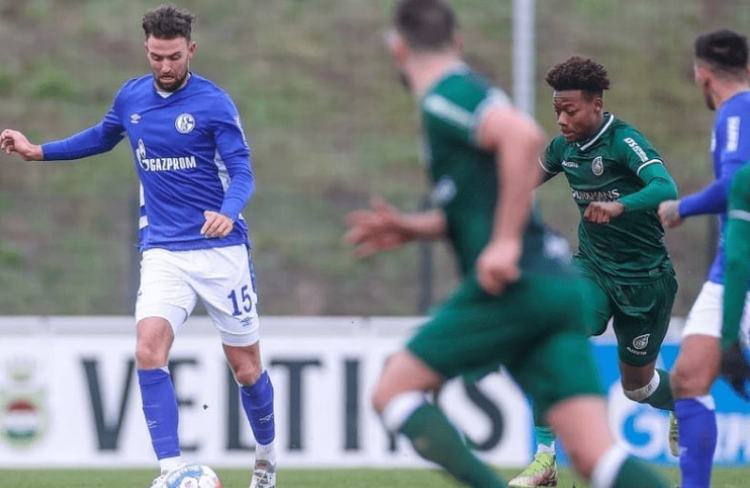 这为爱好者 这为爱好者